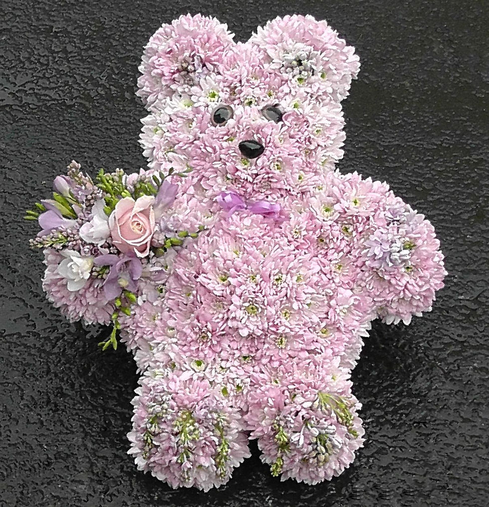 Teddy 1