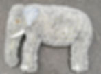 Animals 13