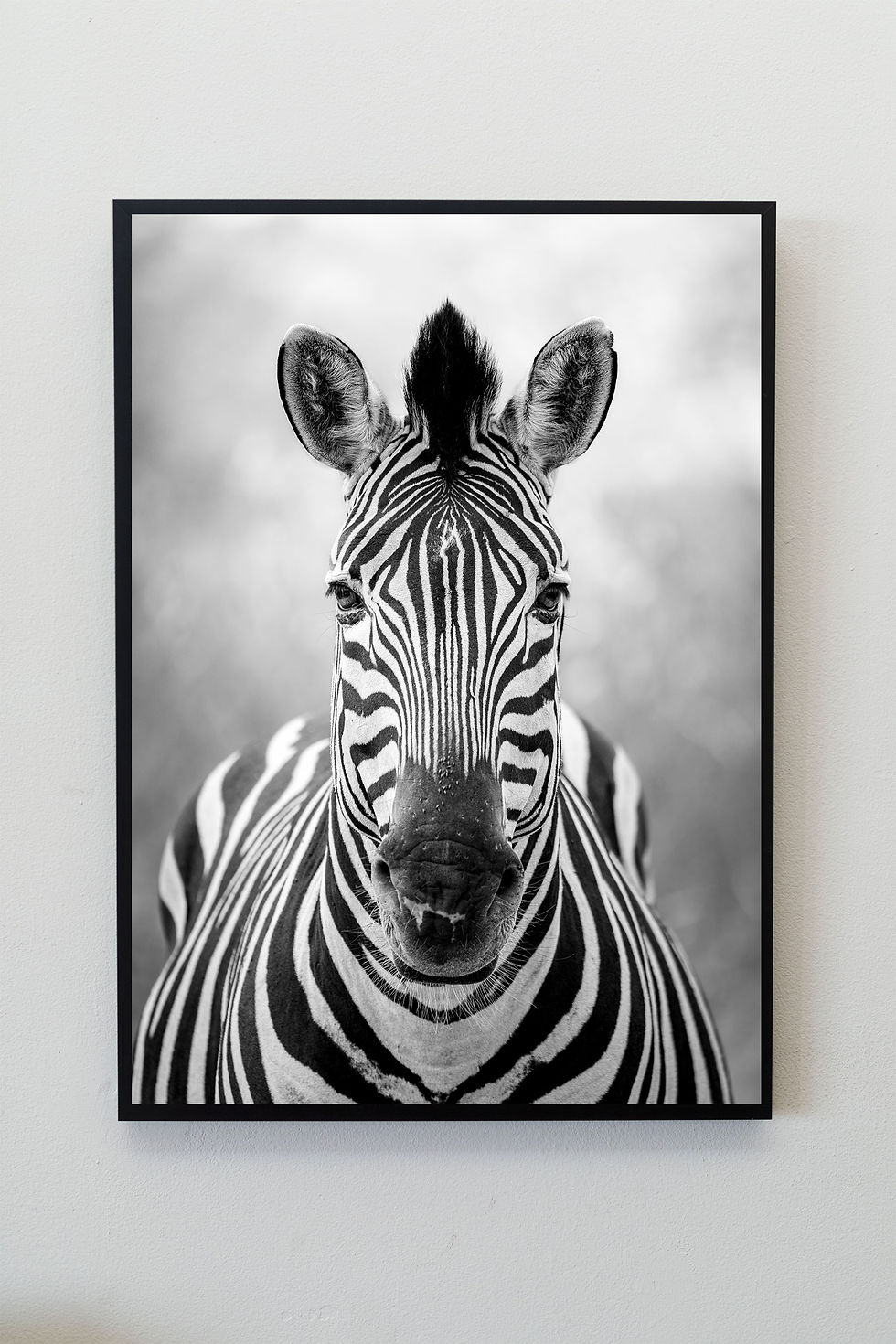 Thumbnail: Mugshot, plains zebra digital file B&W