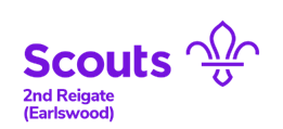 scouts logo