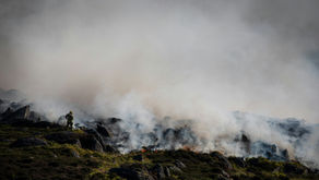 wildfire
