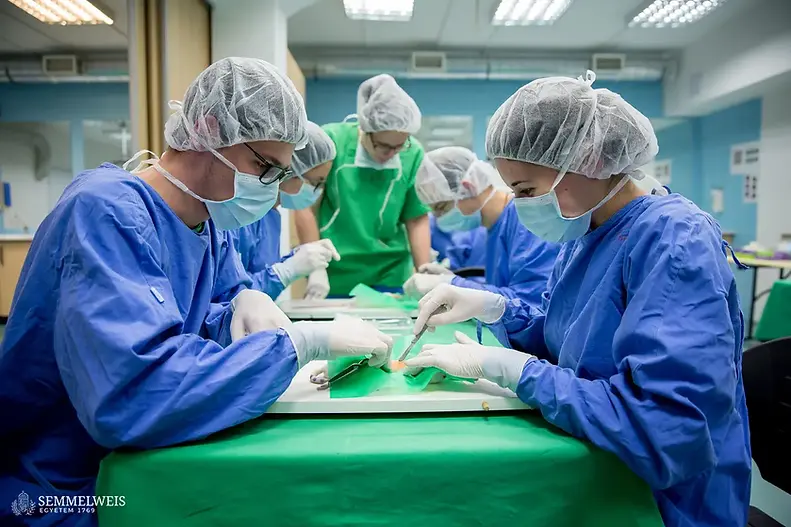 Medical student using simulation equipment at Semmelweis University