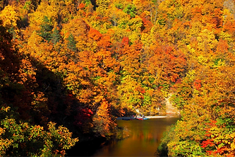 定山渓紅葉-s_edited.png