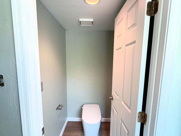 Mint Green master bathroom painting - Dunn Edwards paints