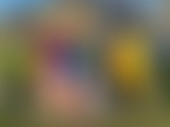 Cars, Candy, and Costumes—Oh My!