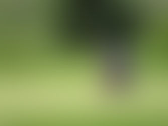 Putt for a Purpose: VCPR Foundation Drive To Thrive Golf Scramble