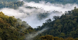 Se conmemoró el séptimo año de la declaratoria del Chocó Andino como reserva de la biósfera
