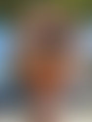 Little Free Library Box -Interview with Fred Acebo