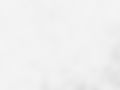 vecteezy_white-abstract-texture-grunge-background_38287547.jpg