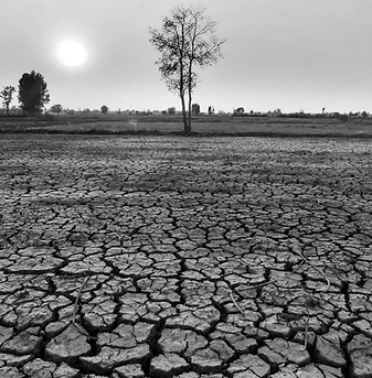 Best Charities - Küresel sağlık kopyası-3.png