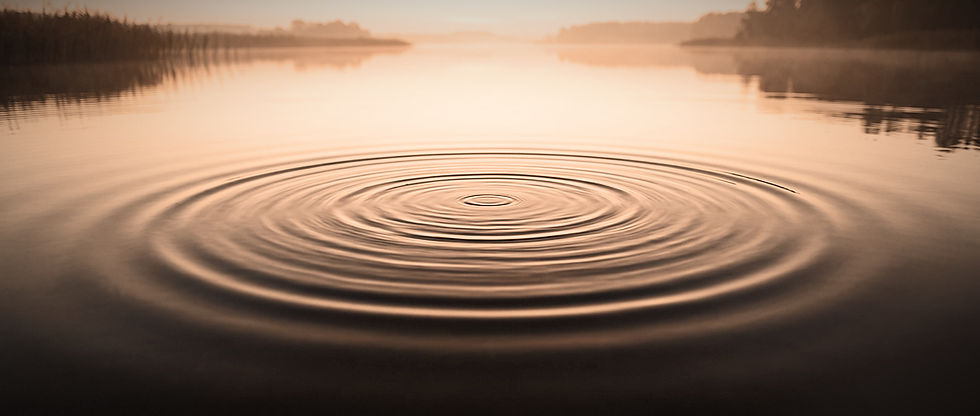 Concentric ripples spread across a calm lake at sunrise, with warm pink-orange reflections and distant tree-lined shores.