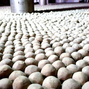 catalyst handling services