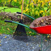 240_F_41659514_ByZmb5k6zk8Wa1bonsluHhpH9