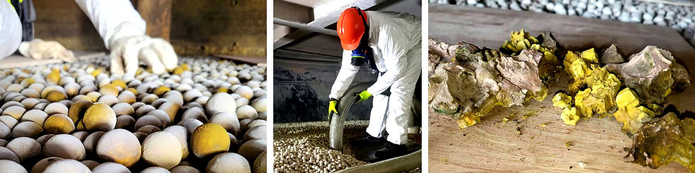DGC AFRICA brings over a century of industrial service experience to ensure catalyst changeouts are executed flawlessly, minimizing downtime, protecting their industrial clients’ equipment, and extending the life of their catalysts.