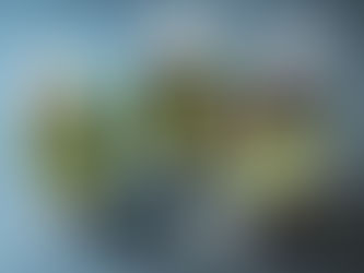 BEYOND PLACEMENT: WHY PERFORMANCE IS OUR BENCHMARK