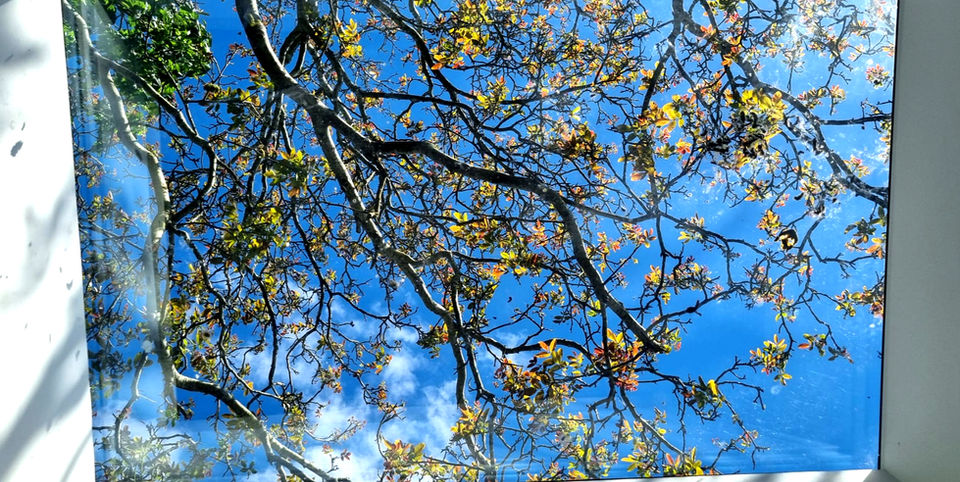 The Acupuncture Clinic in Tunbridge Wells, Kent