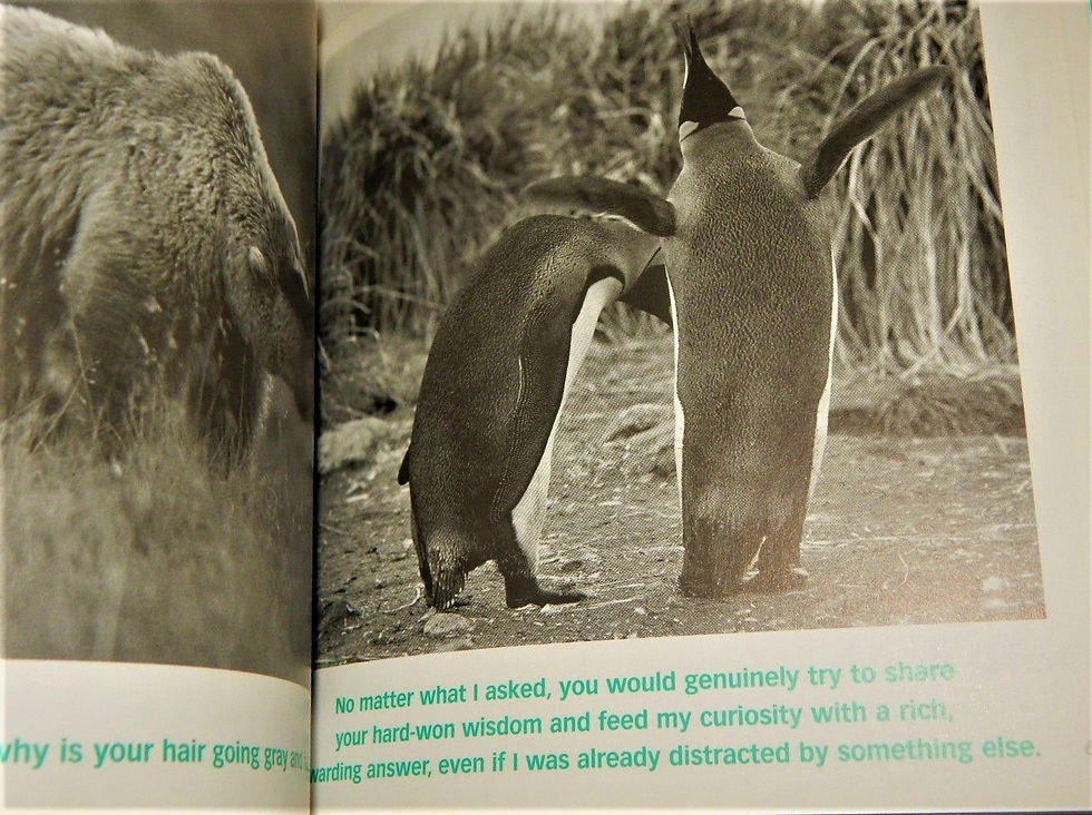 Thumbnail: Dear Dad, Father, Friend, and Hero Hallmark Gift Book Humorous Look at Parenting by Bradley Trevor Greive