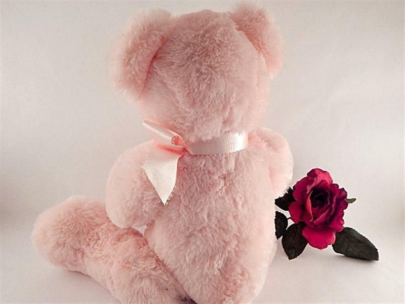 Thumbnail: Teddy Bear with Gift Box Pink Stuffed Plush Jewelry or Trinket Storage