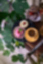 SenåsaHembageriDalsjöforsSommarcafedestinationFotografBrandingAteljeMases(31).jpg