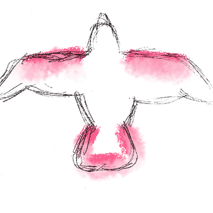 Finding Peace in the Present: A Personal Reflection