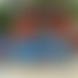 南美館我們來了