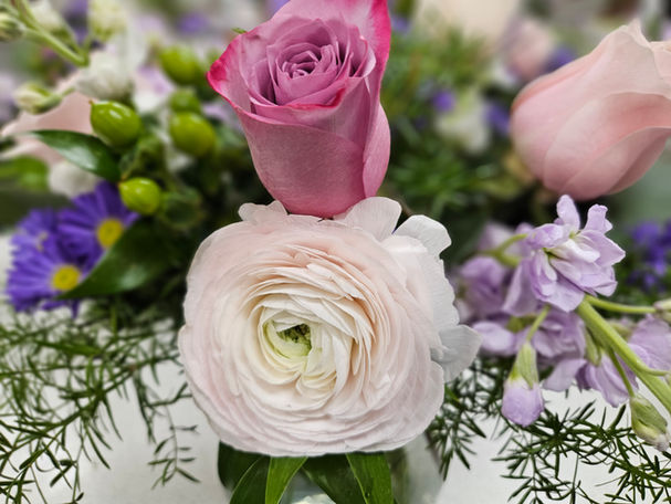 A closeup of two pink roses