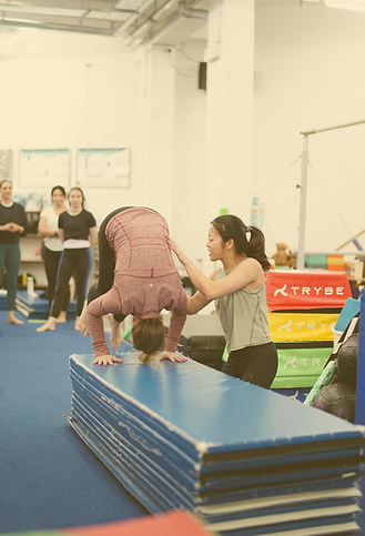 flight (demure gym).png