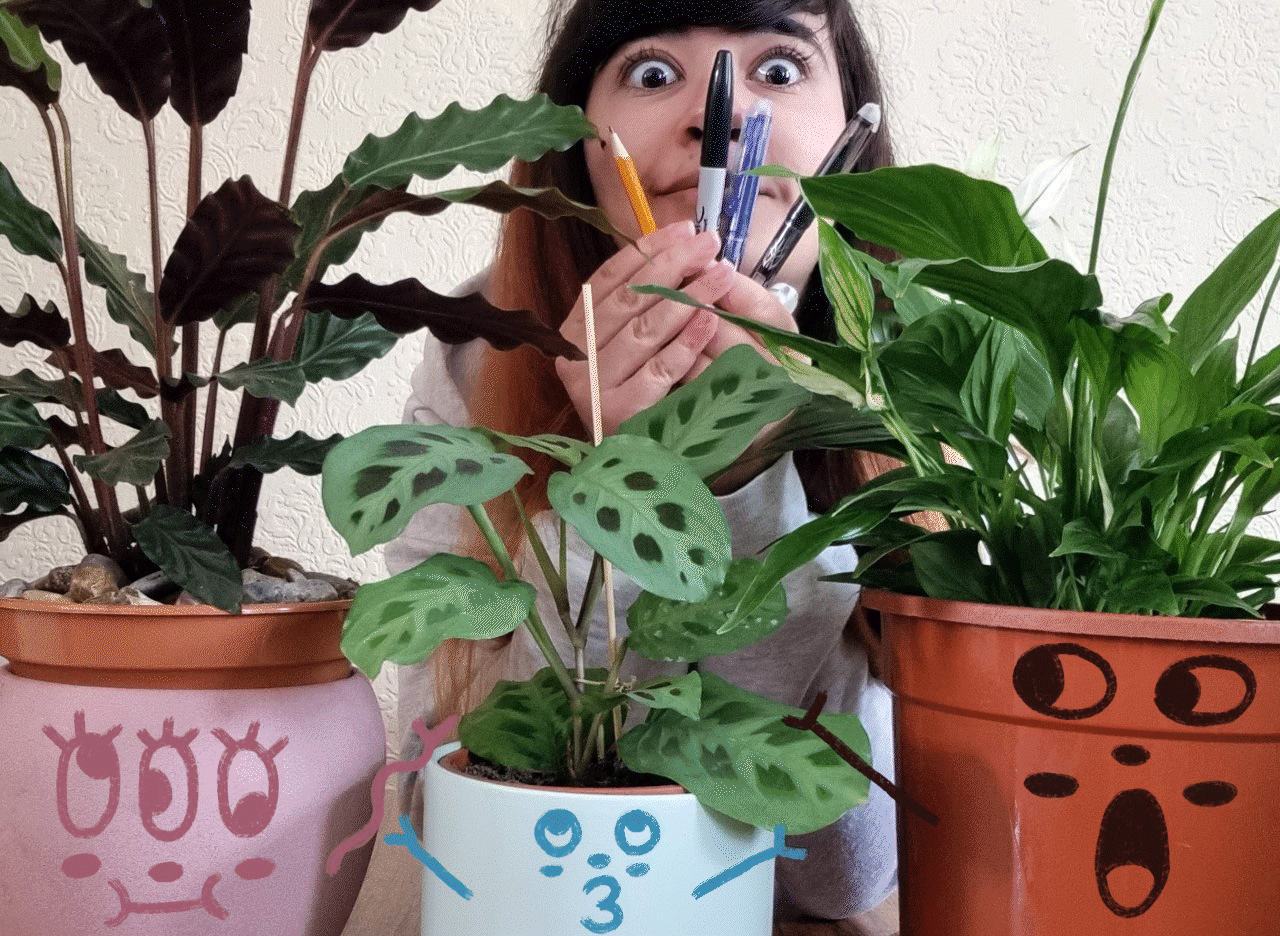 Plant face 1.gif