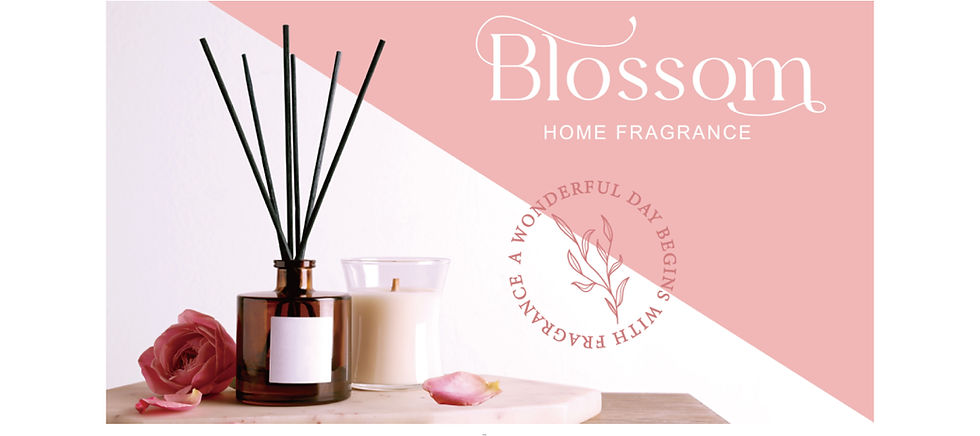 未标题-1_画板 1.jpg