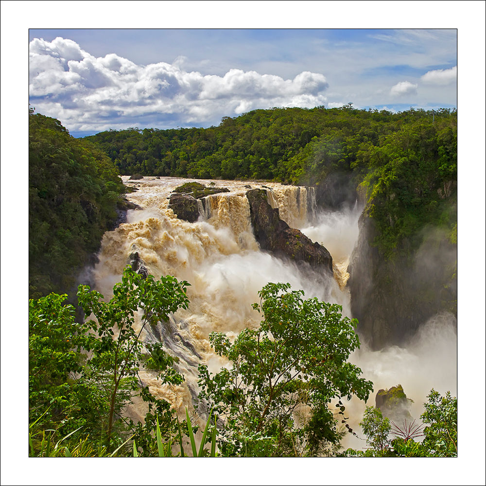 fp241.Barronfalls (Kuranda)