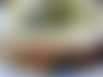 Rustic Pesto Eggplant Parmigiana | LowCarb & Gluten-Free