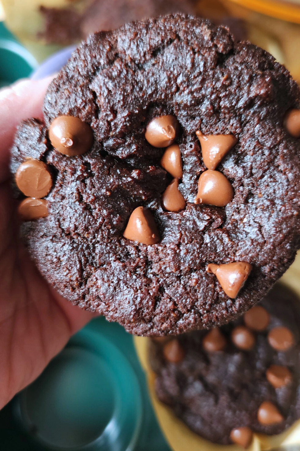 Close-up of a chocolate cookie with chocolate chips, held by a hand over blurred background. Rich, dark texture evokes a cozy, tasty mood.