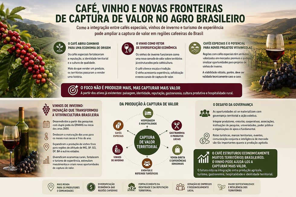 Café, vinho e novas fronteiras de captura de valor no agro brasileiro