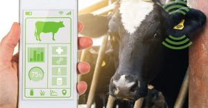 Tecnologia na Pecuária Leiteira: inovação para a prevenção e controle de doenças em vacas leiteiras