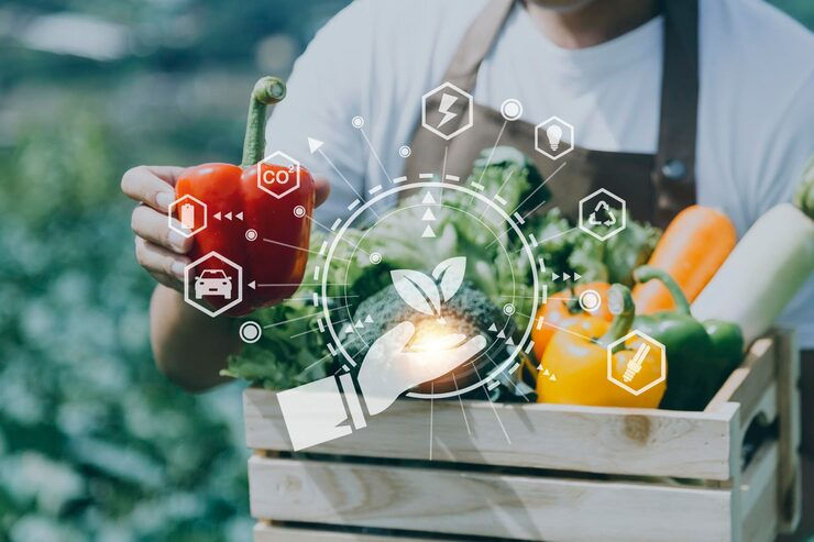 Certificação e rastreabilidade digital: o futuro dos alimentos mais justos e sustentáveis