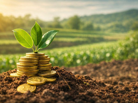 Educação Financeira Rural: Um Caminho para Mais Segurança, Bem-Estar e Sustentabilidade