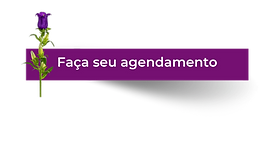 Agende sua aula (26).png