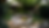 Website Citação Longa com Botão e Imagem de Fundo Branco Preto (37).png