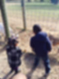 Linvilla Orchards