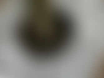 Blikvangers op Stadswaag