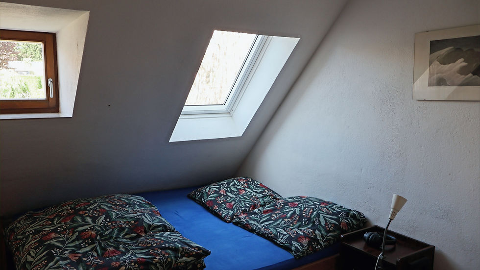 View of the bedroom, with a window opening up to the stars