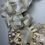 Thumbnail: Gold Grapevine Wreath