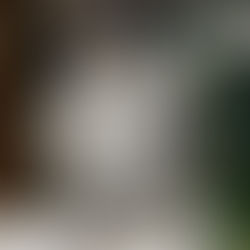 A clear bottle of Colorado Gin by Woody Creek Distillers on a shelf, surrounded by other liquor bottles. Handwritten label shows "34".