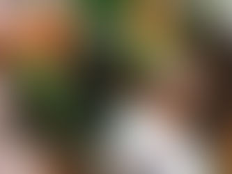 Soju: Korea's Favorite Spirit