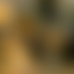 Photograph of two glasses of sherry