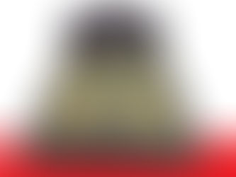 Pat Roby tapitat Chisinau Moldova