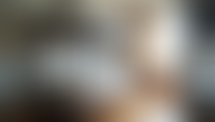 Choosing Between Wooden and Metal Bunk Beds