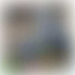 Furniture & mattresses delivery in Pace, Fl