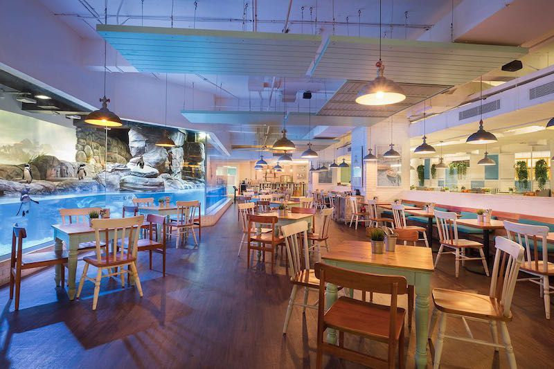 AT Jakarta penguin restaurant.jpeg