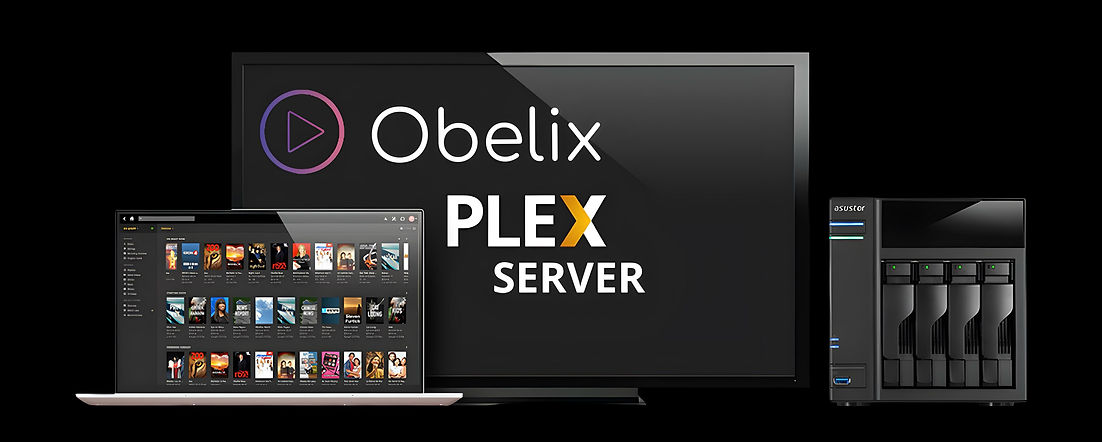 Obelix Plex Server Logo B.jpeg